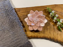 Load image into Gallery viewer, All Natural Succulent Soap - Set of 3 - 9.6 oz