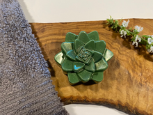 Load image into Gallery viewer, All Natural Succulent Soap - Set of 3 - 9.6 oz