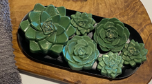 Load image into Gallery viewer, All Natural Succulent Soap Gift Box - Set of 6 w/ Stainless Steel Dish - 5 oz