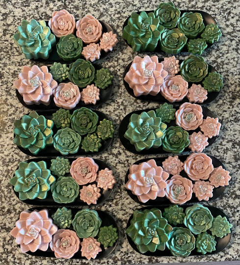 All Natural Succulent Soap Gift Box - Set of 6 w/ Stainless Steel Dish - 5  oz