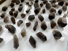 Load image into Gallery viewer, Raw Smoky Quartz Points - Bulk - 25-50mm