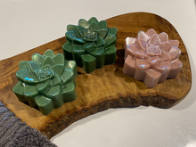 Load image into Gallery viewer, All Natural Succulent Soap - Set of 3 - 9.6 oz
