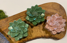 Load image into Gallery viewer, All Natural Succulent Soap - Set of 3 - 9.6 oz
