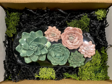 Load image into Gallery viewer, All Natural Succulent Soap Gift Box - Set of 6 w/ Stainless Steel Dish - 5 oz
